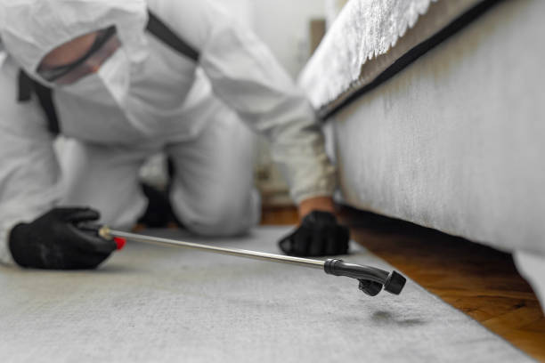 Professional Termite Control technician working in Pittsburg, CA