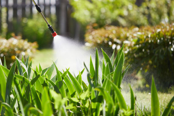 24/7 Emergency Termite Control experts in Pittsburg, CA